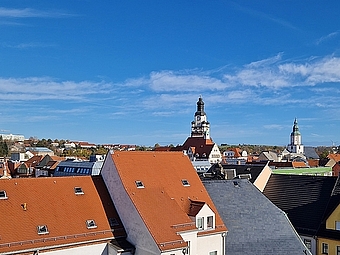 Ausblick auf die Dächer der Innenstadt von Döbeln mit blauem Himmel