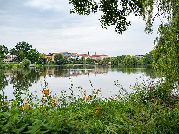Blick von der Saale auf die Merseburger Altstadt mit Schloss